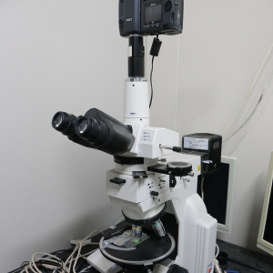 NIKON Polarized microscope E4BP-M22